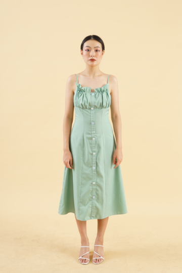 Hailey dress spring green- VF